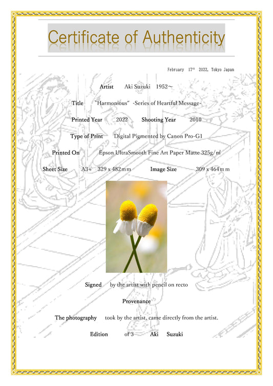 「なかよし色」　　ー夢心地シリーズー